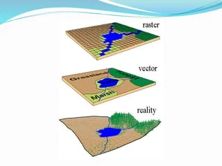 Data-models-in-geographical-information-system-GIS-10-320